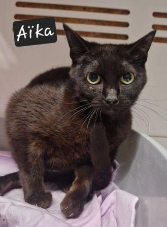 AÏKA