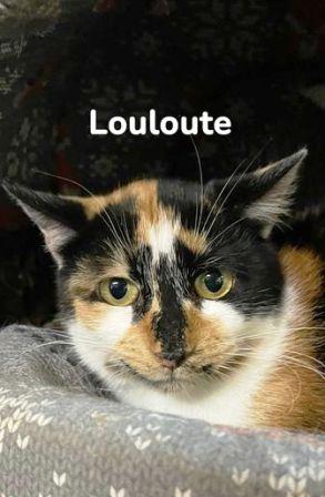 LOULOUTE