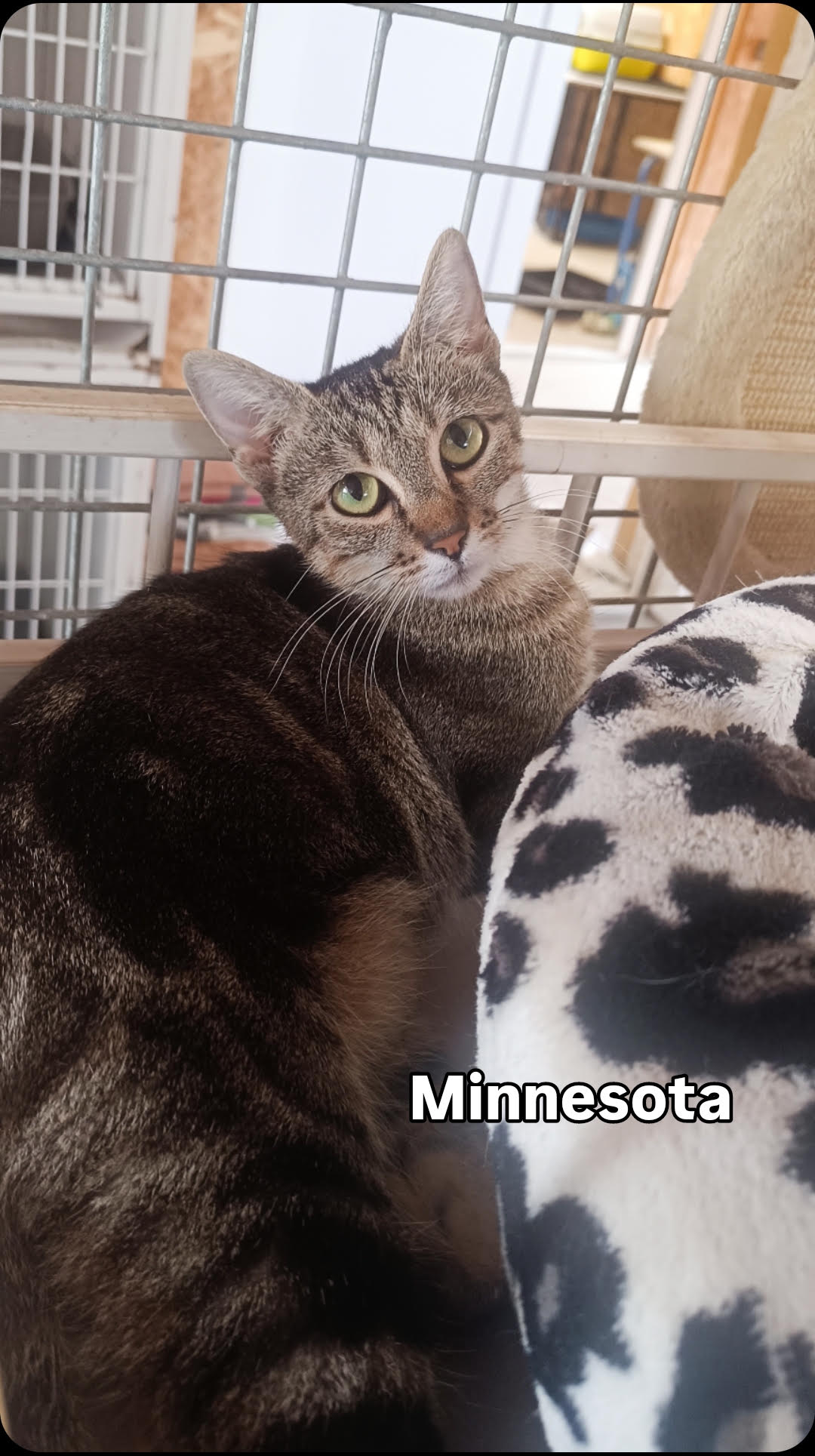 MINNESOTA