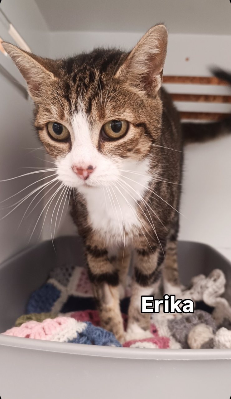 ERIKA