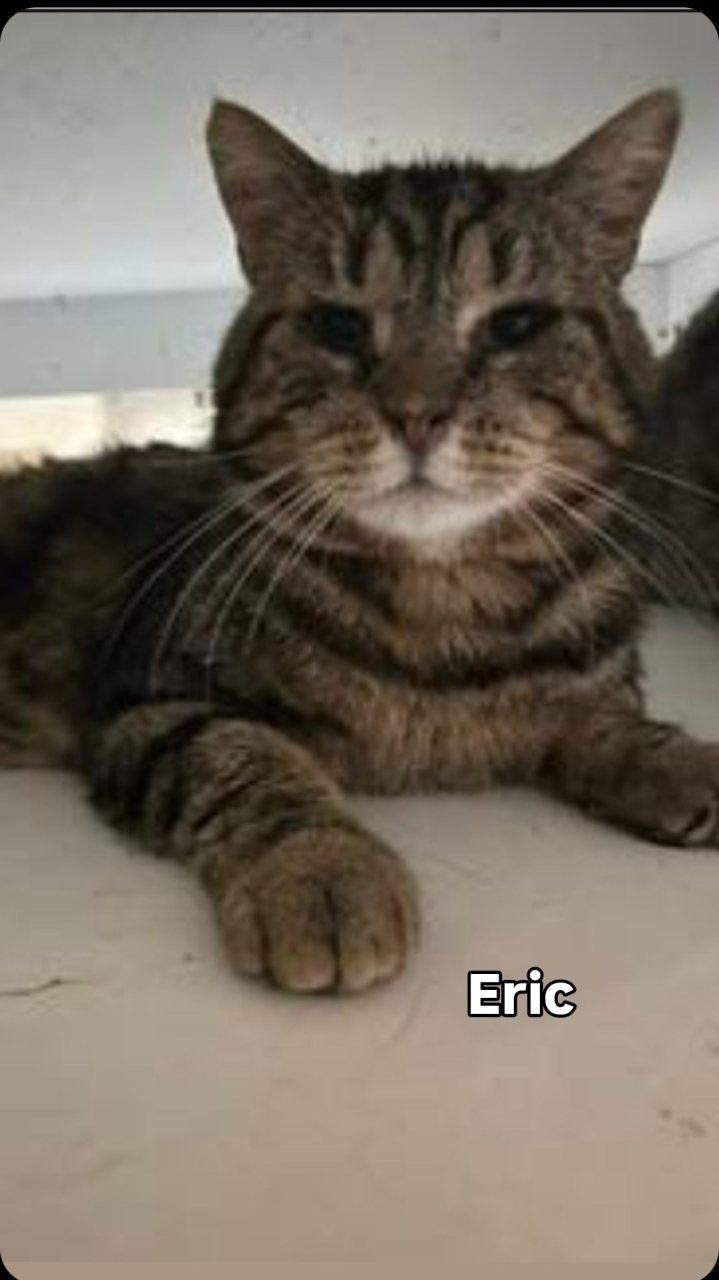 ERIC (FIV+)