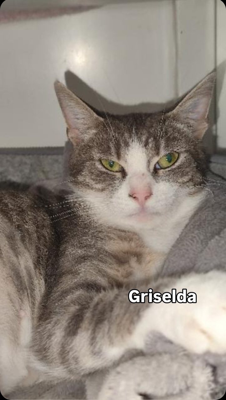GRISELDA