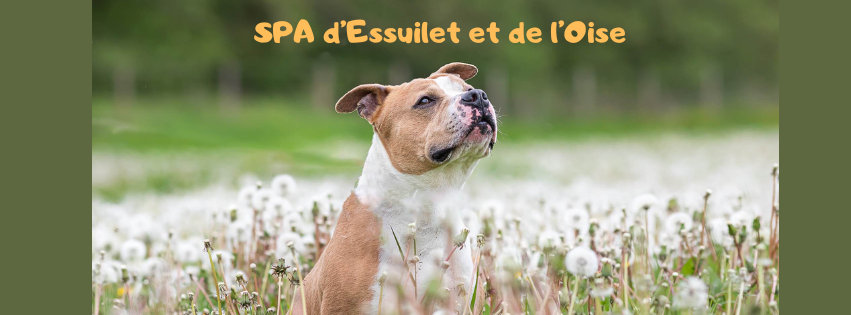 SPA d Essuilet et de l Oise